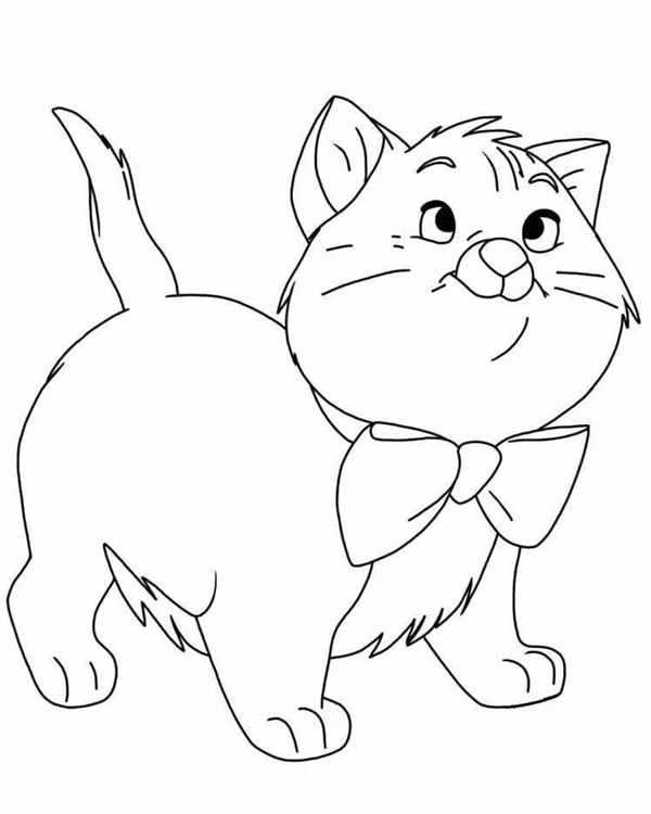Котенок раскраска для детей
