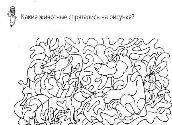 Раскраска с заданиями для детей 5-6 лет