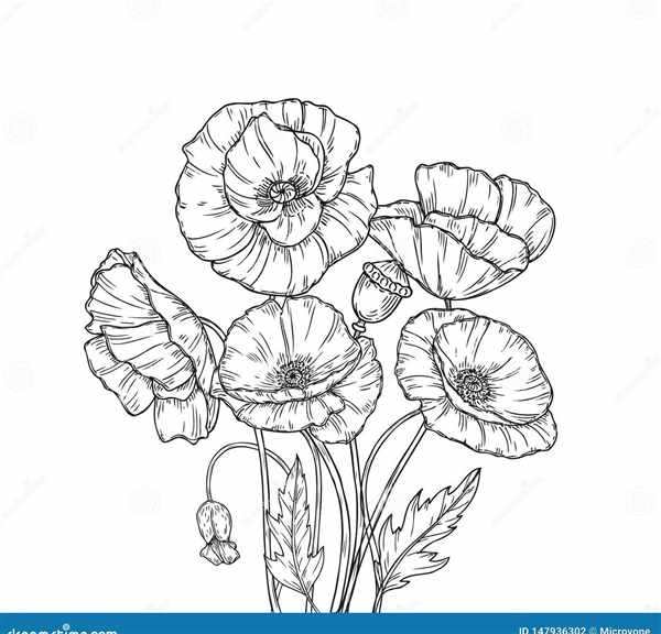 Цветы. Раскраска