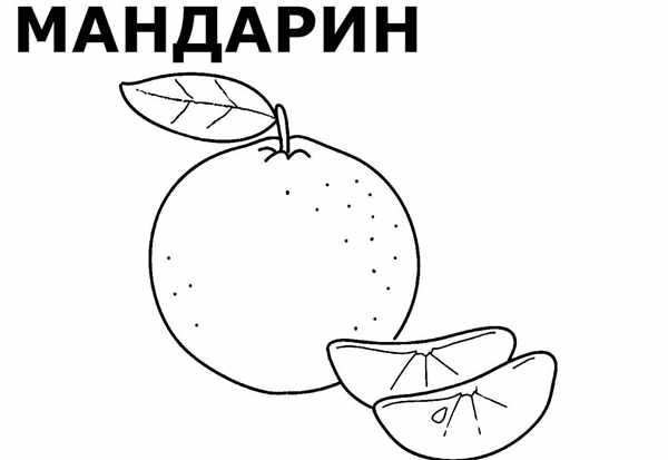 Фрукты. Раскраска