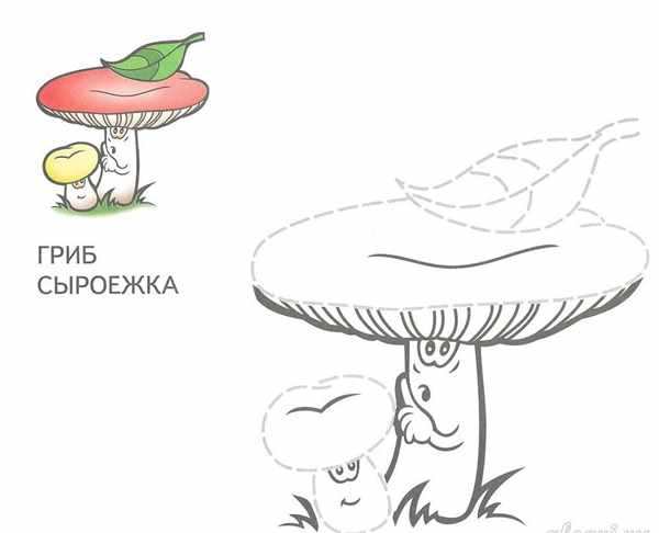Гриб раскраска