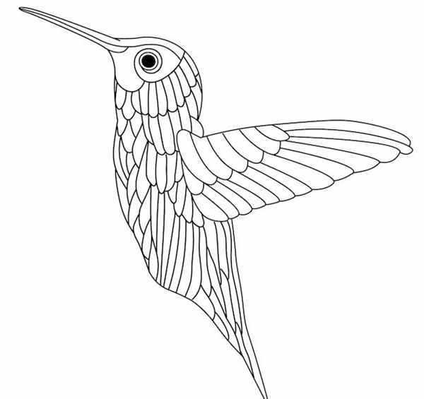 Птицы. Раскраска