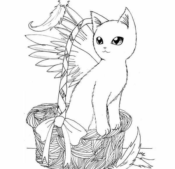 Раскраска. Котики
