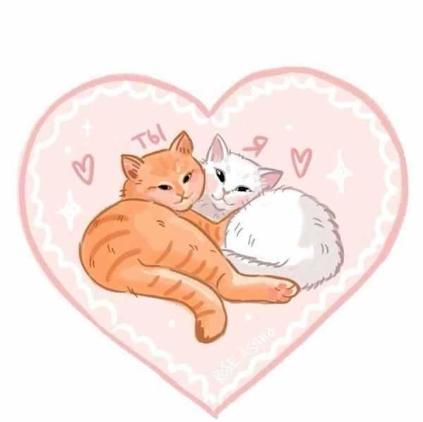 Раскраска кот
