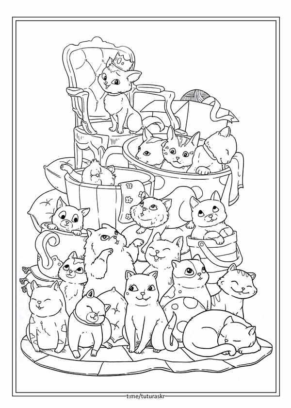 Котята в корзинке для раскрашивания