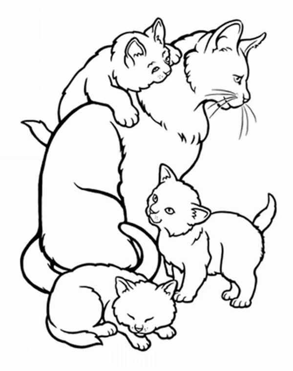 Влюбленный котик
