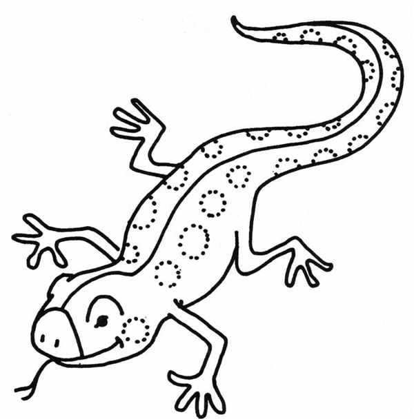 Милая ящерка на ветке весёлая раскраска