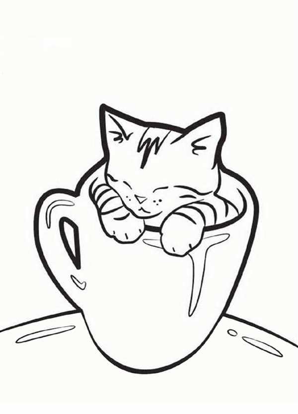 Милый котик раскраска