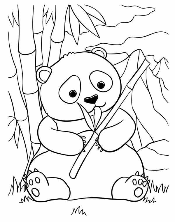 {Panda контур}