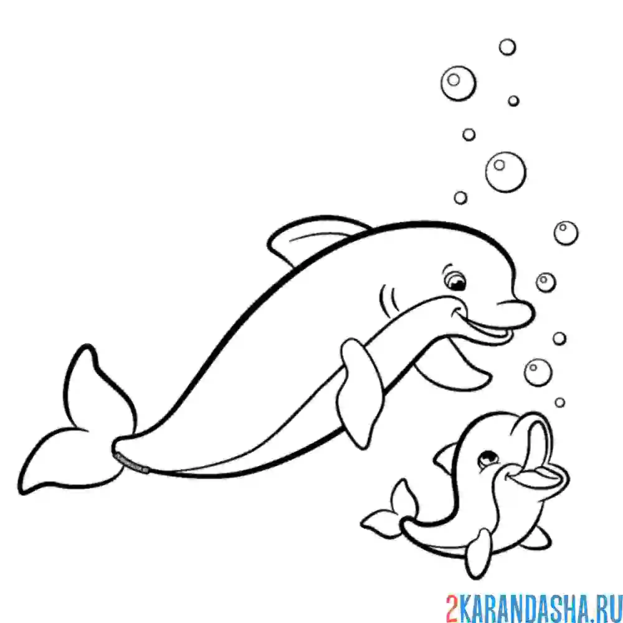 Милый дельфин с мячом веселая раскраска Dolphins Balls Coloring Fun