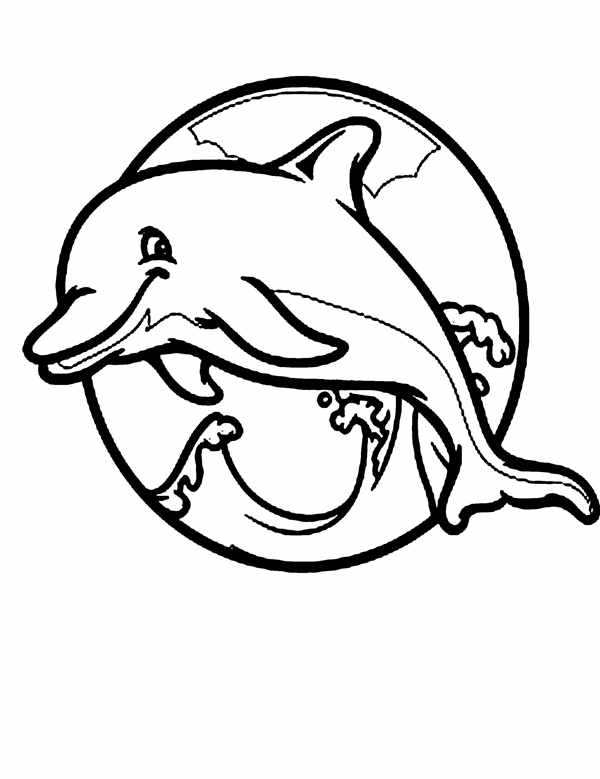 Милый дельфин с мячом веселая раскраска Dolphins Balls Coloring Fun