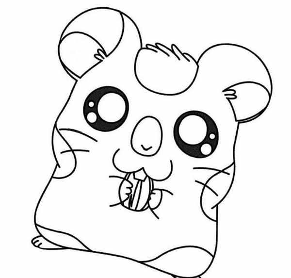 Раскраска Hamtaro
