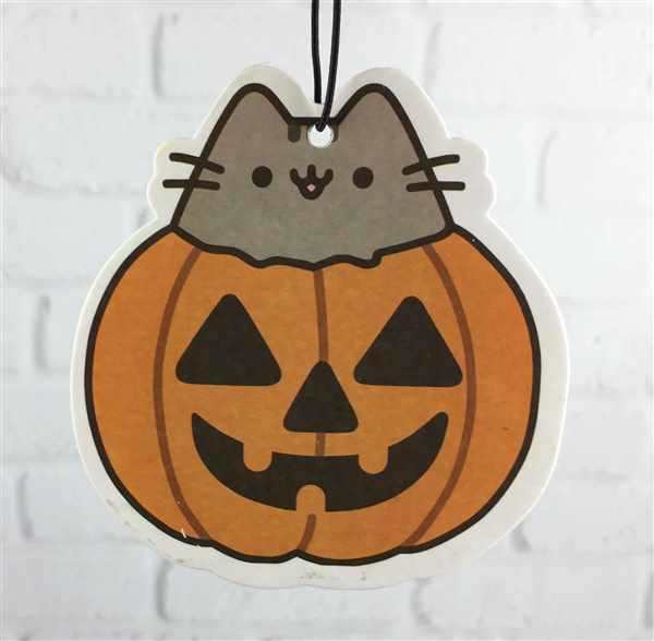 Раскраска кот