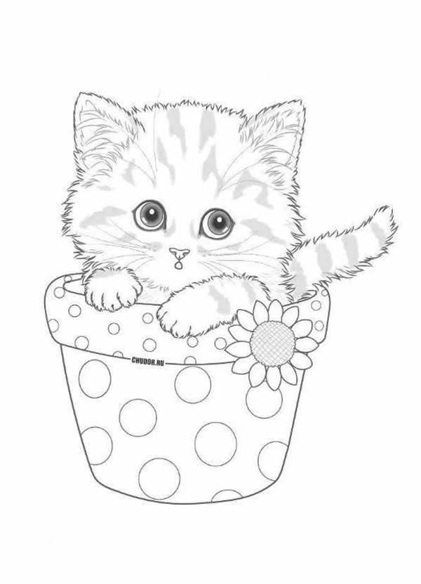 Милый котенок и его тыковочные приключения веселая раскраска