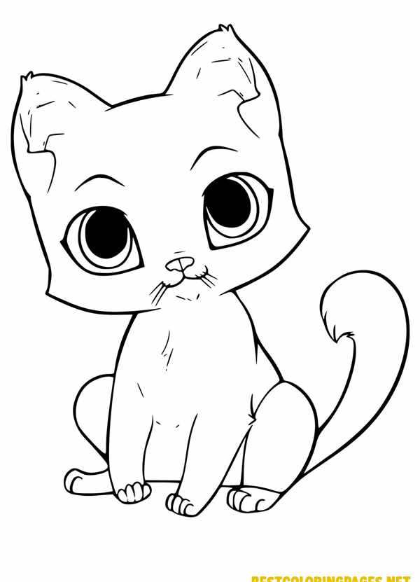 Котенок. Раскраска