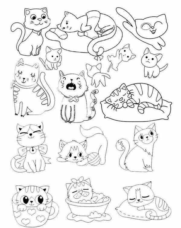 Милый котик раскраска