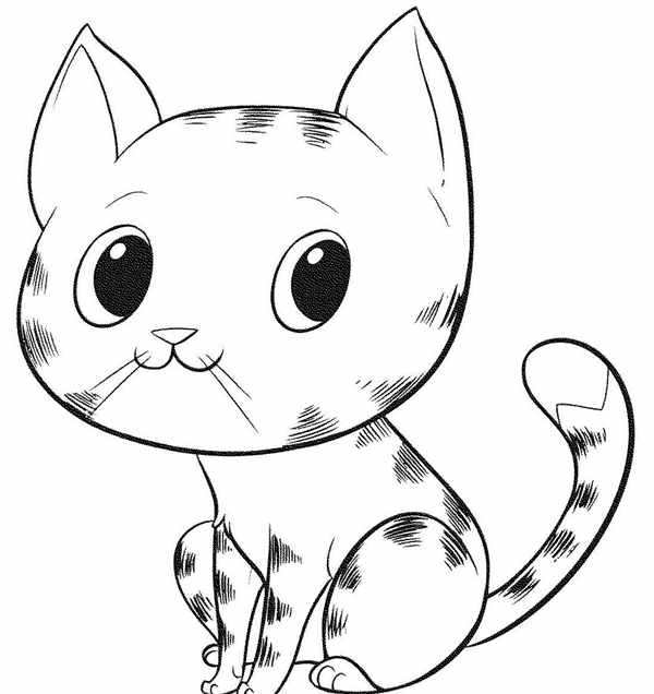 Раскраска котик с сердечком