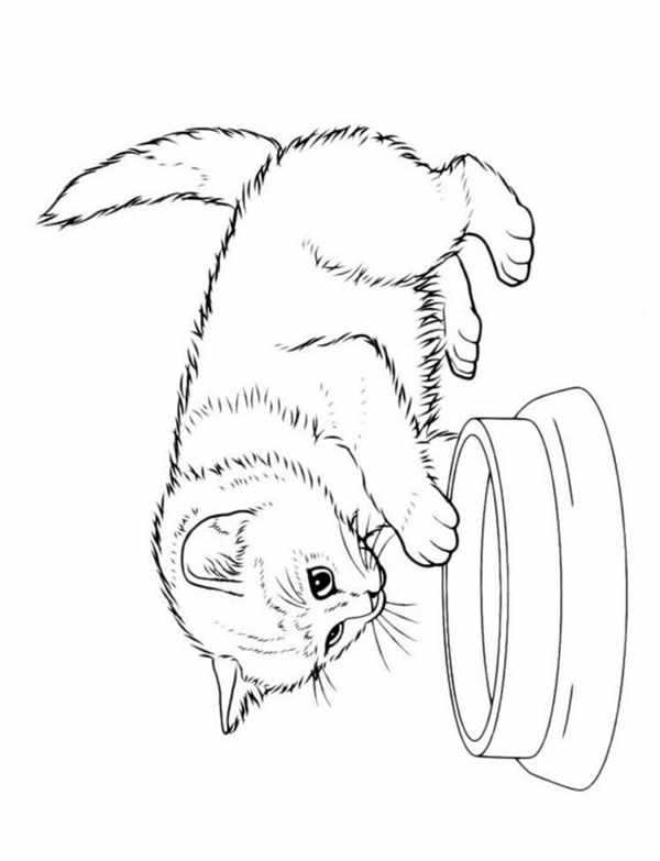 Рисунки маленьких котиков