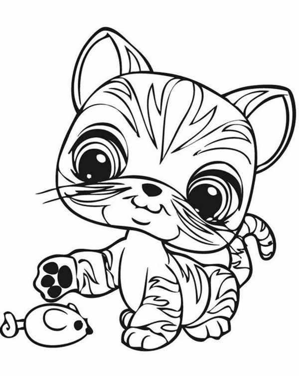 Рисунок кота для срисовки