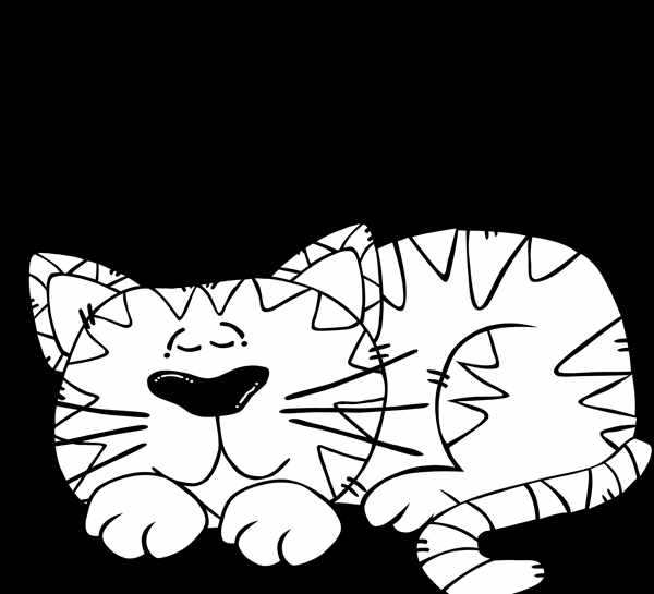 Котик раскраска для детей