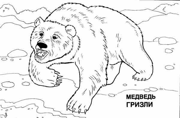 Раскраска \