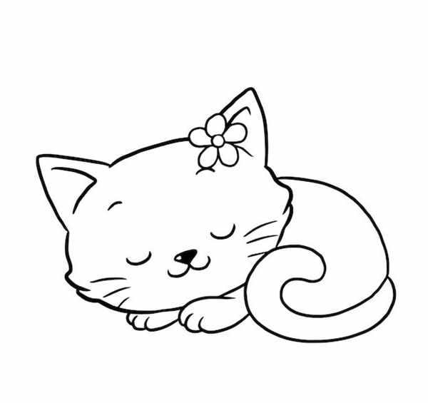 Раскраска. Котики