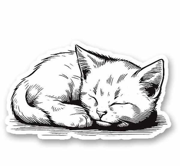 Котенок спит раскраска