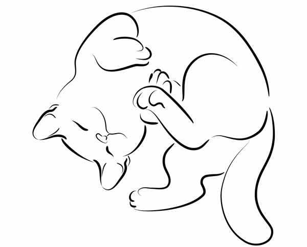 Милый спящий котёнок занимательная раскраска для всей семьи