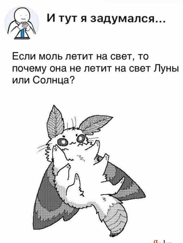 Моль раскраска для детей