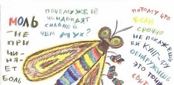 Мотылек чб