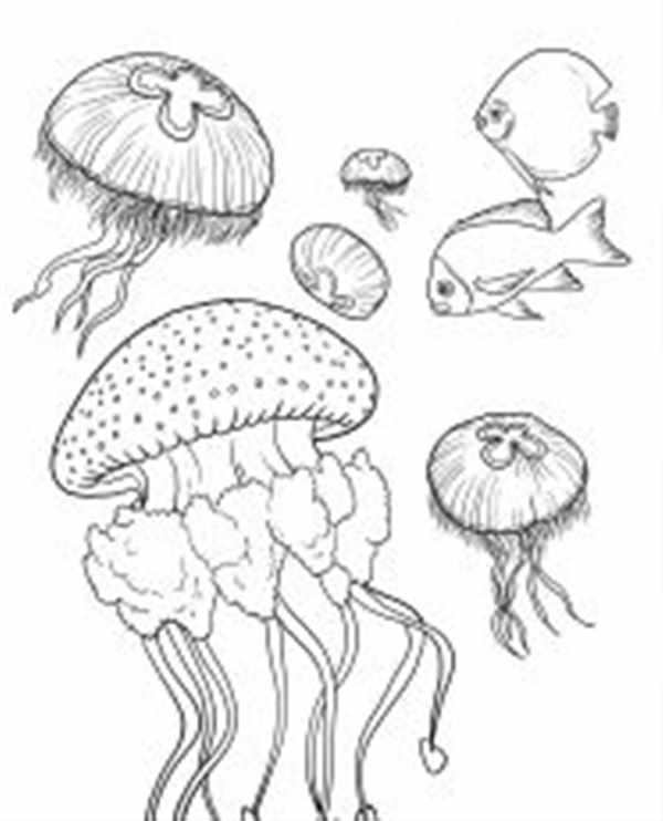 Морской Волшебник Раскраска Маленькой Медузы для Малышей