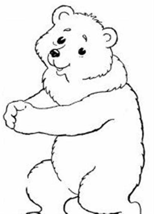 Медведь раскраска