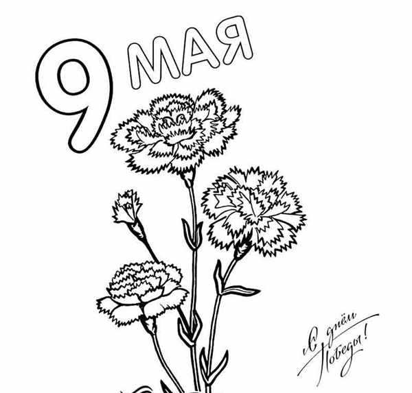 Rasskraska 9 Maya