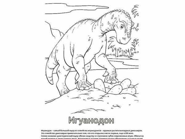 Игуанодон раскраска