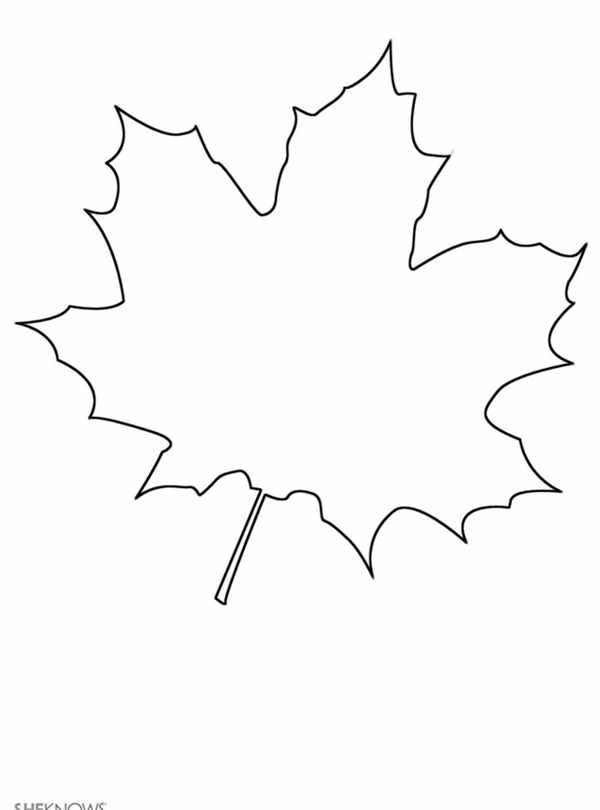 Листья деревьев раскраска