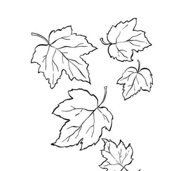 Листья рисунок