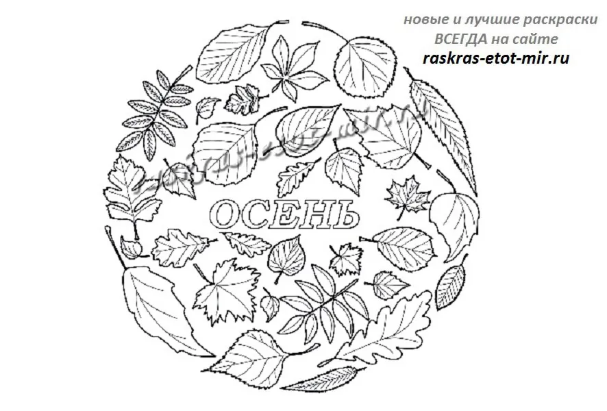 Кленовый лист раскраска для детей