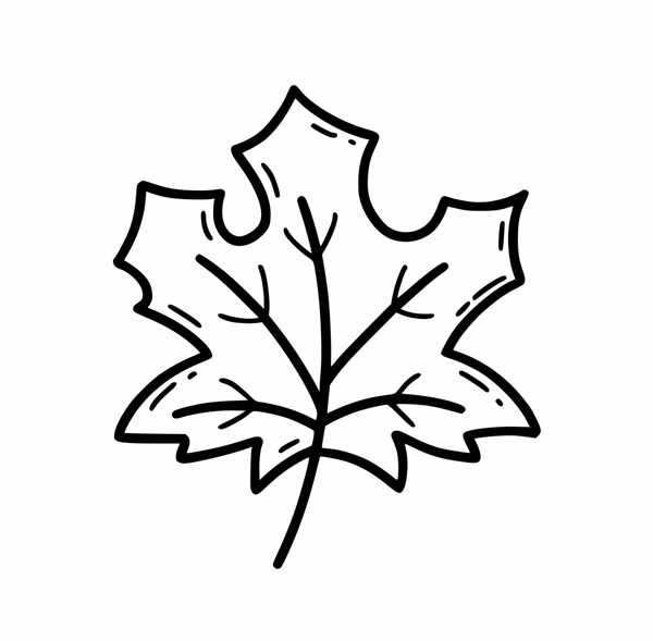 {Leaf Doodles}