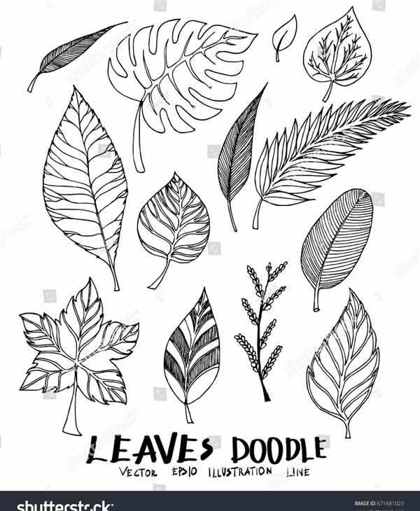 Autumn Doodles