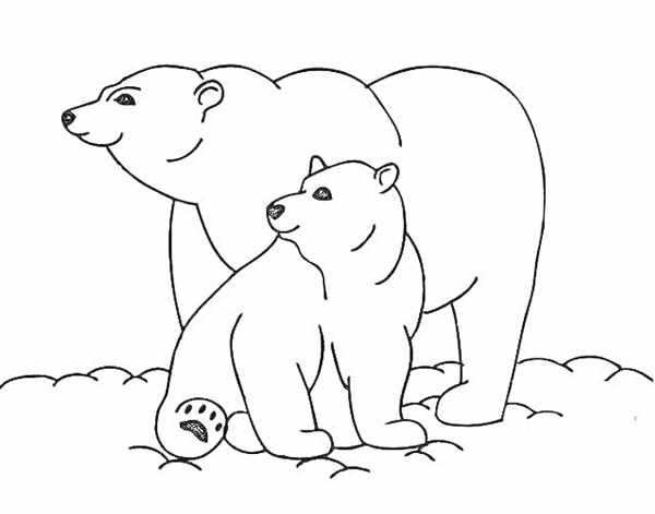 Полярный медведь на лыжах веселая раскраска для детей