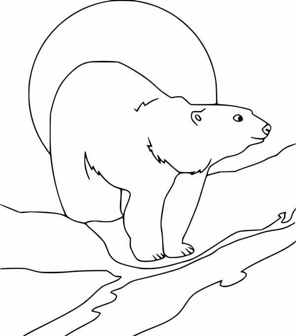 Раскраска медведь с медвежонком