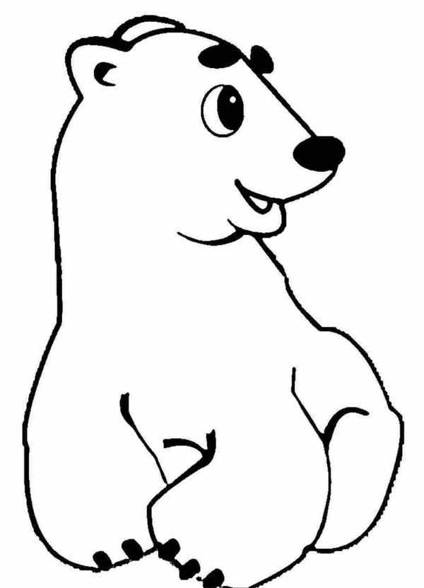 Белый мишка раскраска для детей