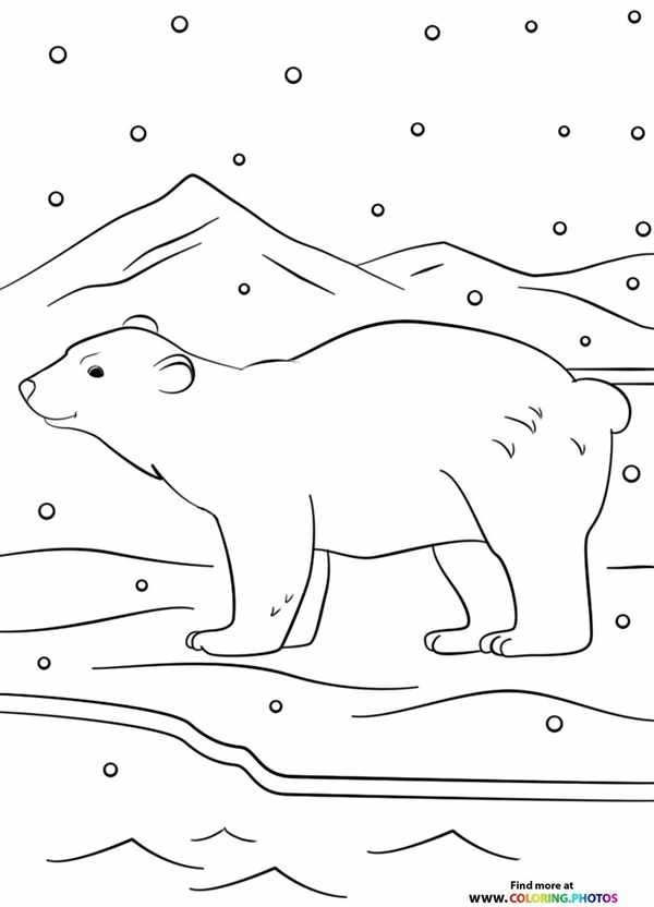 Полюбуйся и раскрась Полярный мишка