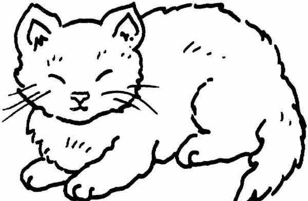 Раскраска кот