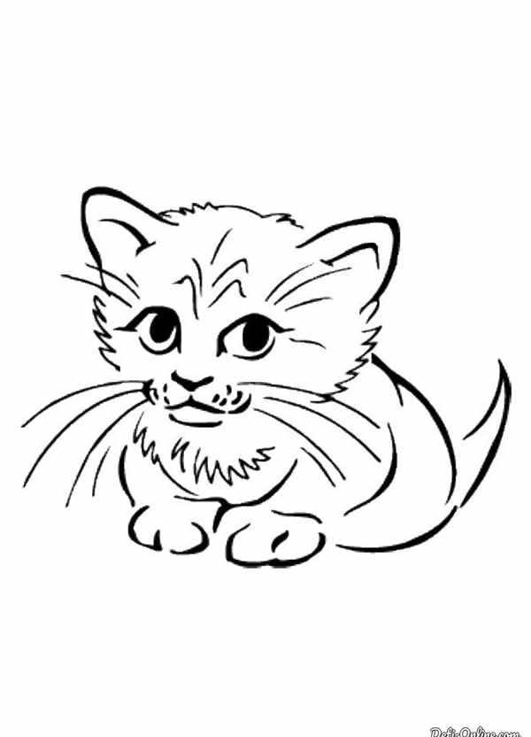 Кошка раскраска для детей