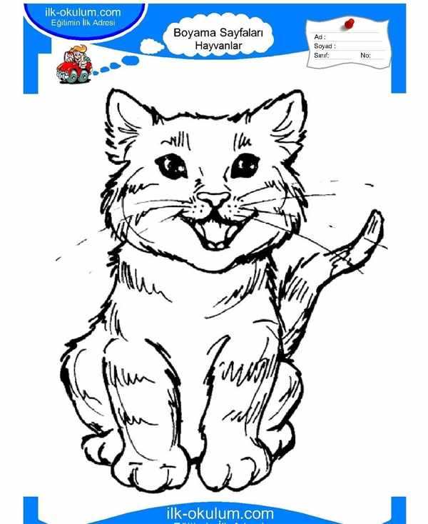 Котик раскраска для детей