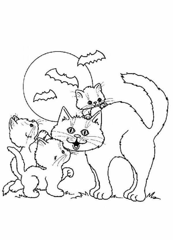 Котенок раскраска для детей