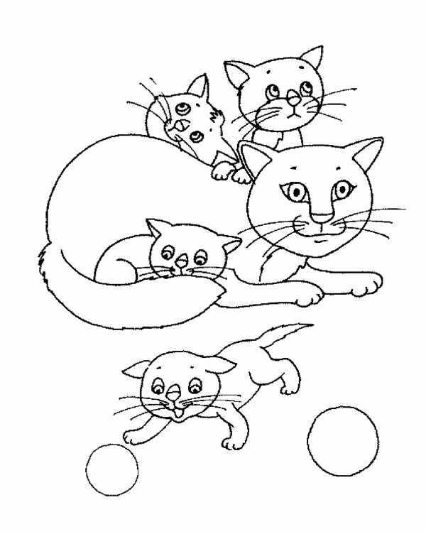 Раскраска кошечка