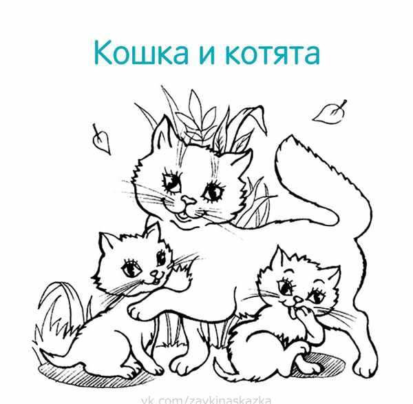 Кошки. Раскраска