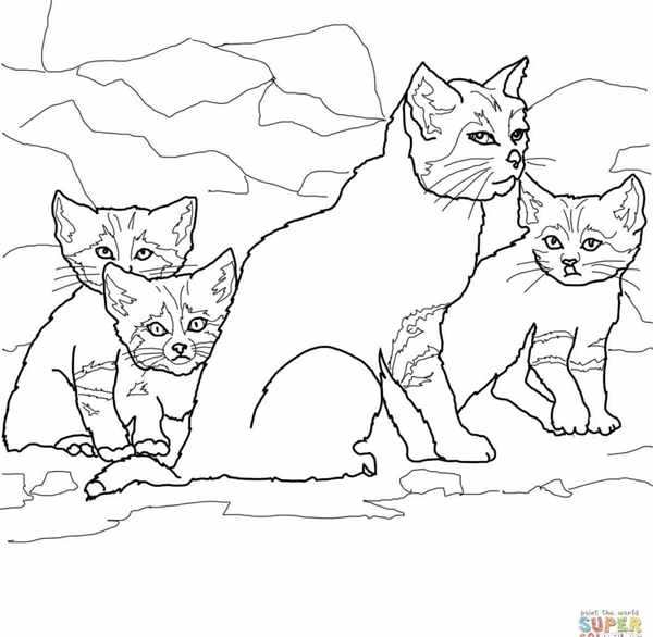 Котенок. Раскраска